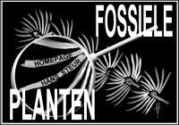 Banner Fossiele planten
