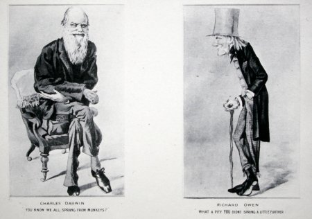 Cartoon Darwin en Owen