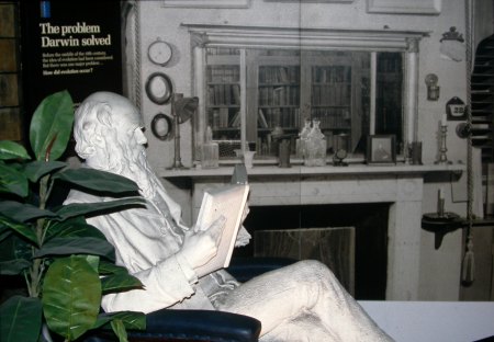 Statue of Darwin