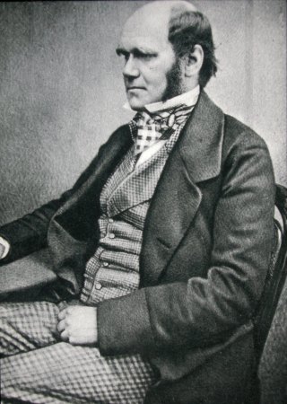 Darwin at middle age