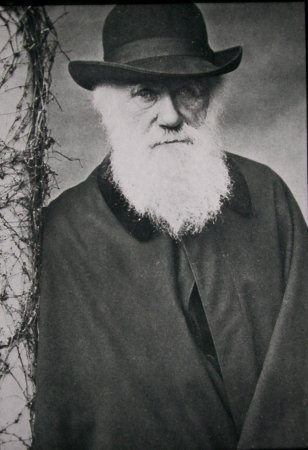 Darwin on high age