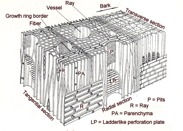 Block of wood with elements
