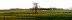 Panorama's