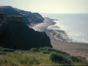 The cliffs of Sheppey