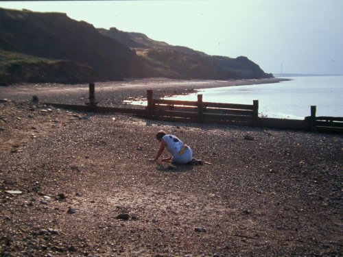 Looking for fossils at Sheppey