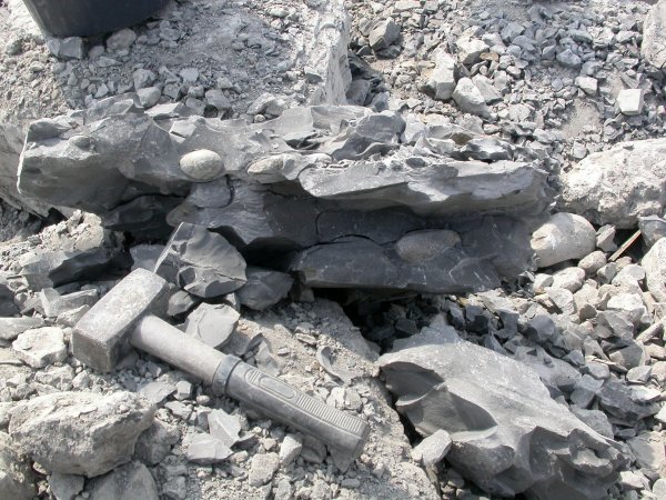 Concreties in de steen