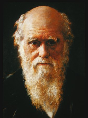 Darwin op hoge leeftijd