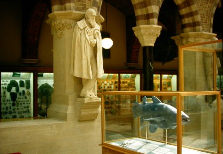 Darwin in Oxford