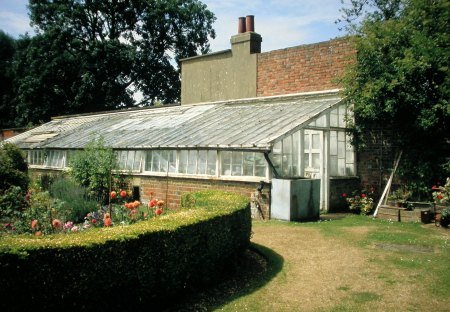 Greenhouse Darwin