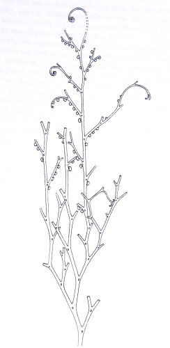Reconstructie van Gosslingia breconensis