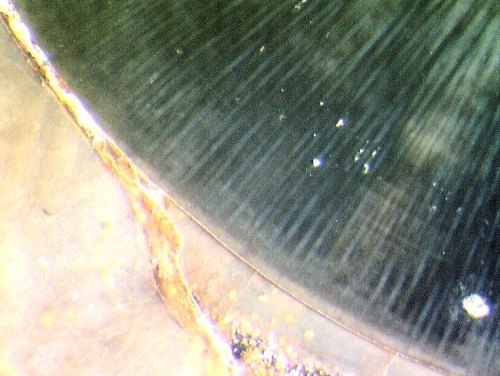 Pachytheca uit de Rhynie chert (detail)