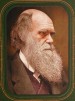 Darwin en Evolutie