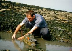 Fossielen zoeken bij Cayton Bay